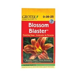 Blossom Blaster 20 Gr. Grotek