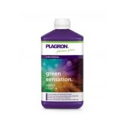 Green Sensation 100cc - Plagron