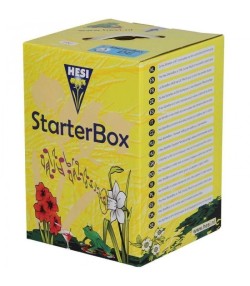 STARTER BOX SUELO - HESI