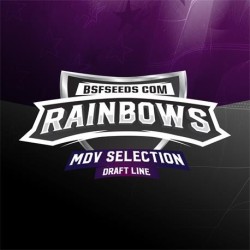 Rainbows X4 - BSF Seeds
