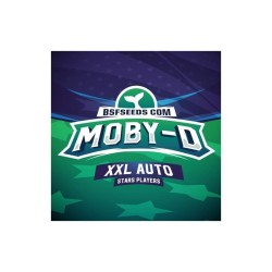 Moby -D XXL Auto x4 Bigger Stronger Faster.
