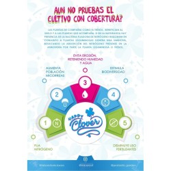 Micotrue Happy Clover 5 G