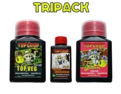 Tripack Top Crop
