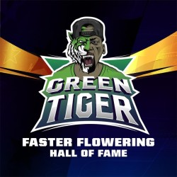 Green Tiger x4 - Bigger Stronger Faster Seeds