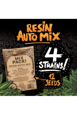 Sweet Auto Mix X12 - Seed Stockers