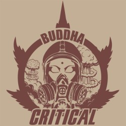 Critical Auto x3 - Buddha...
