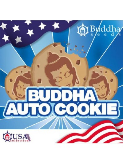 Cookie Auto x3 - Buddha Seeds
