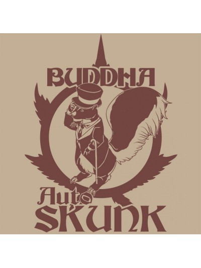 Skunk Auto x3 - Buddha...