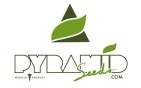 Los mejores productos y ofertas de Pyramid Seeds--Autofloreciente-Tienda Taboo 